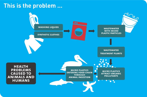 The effects of plastic microfibres on the food chain