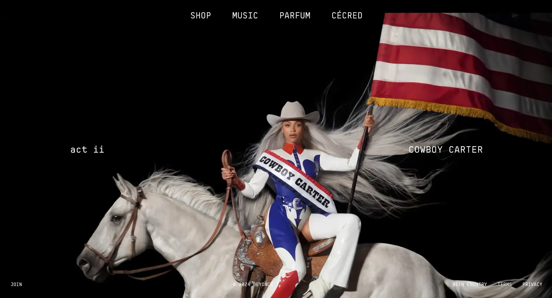 Screenshot of Beyonce’s Shopify music store.