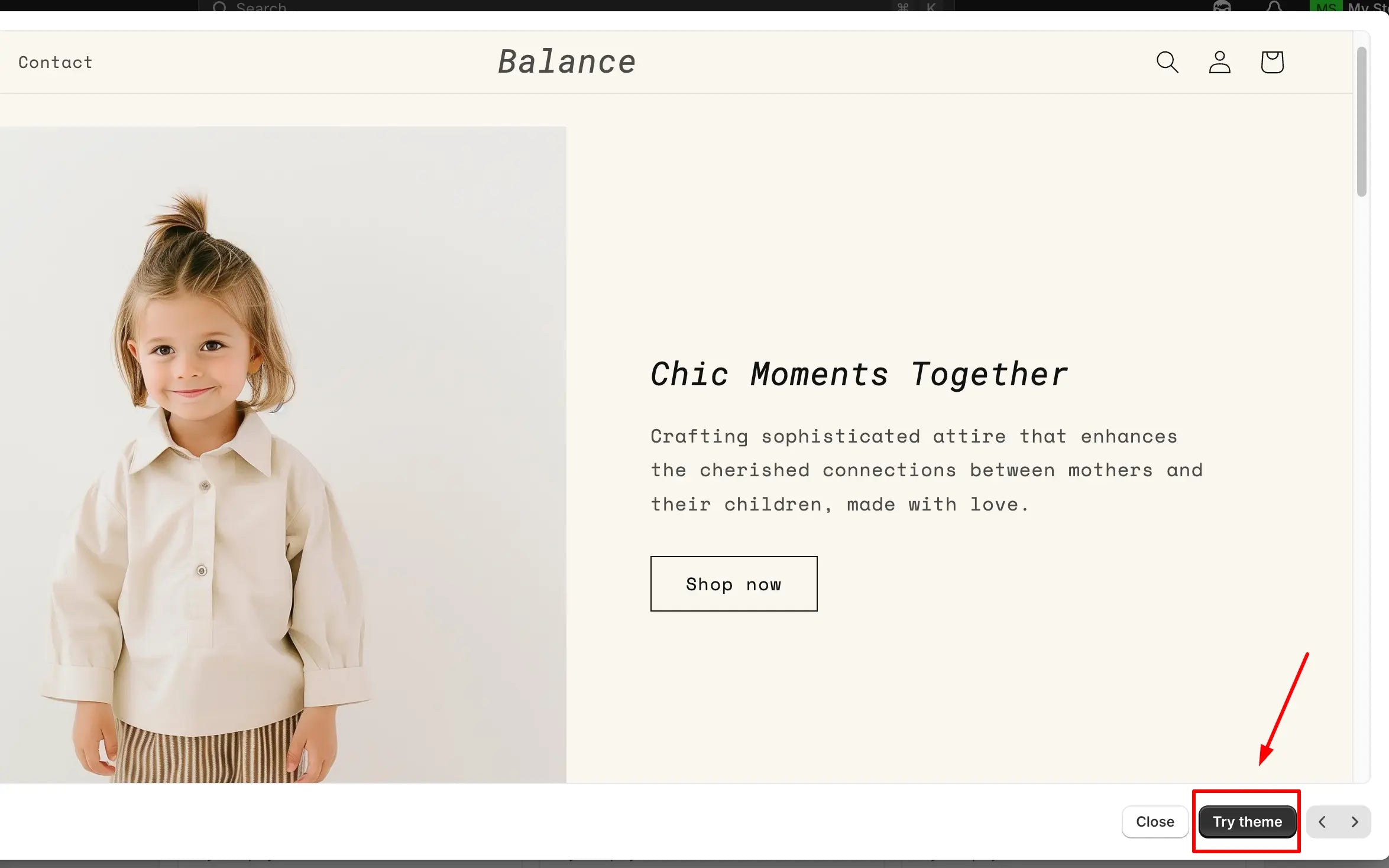 click try theme to customize website elements