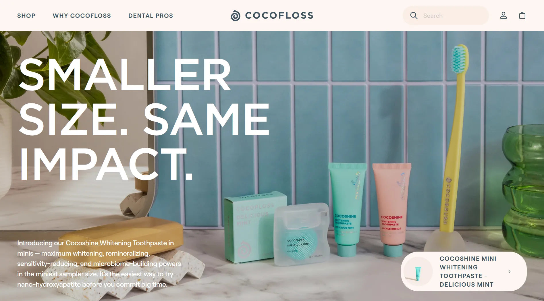 Screenshot of Cocofloss’ website.