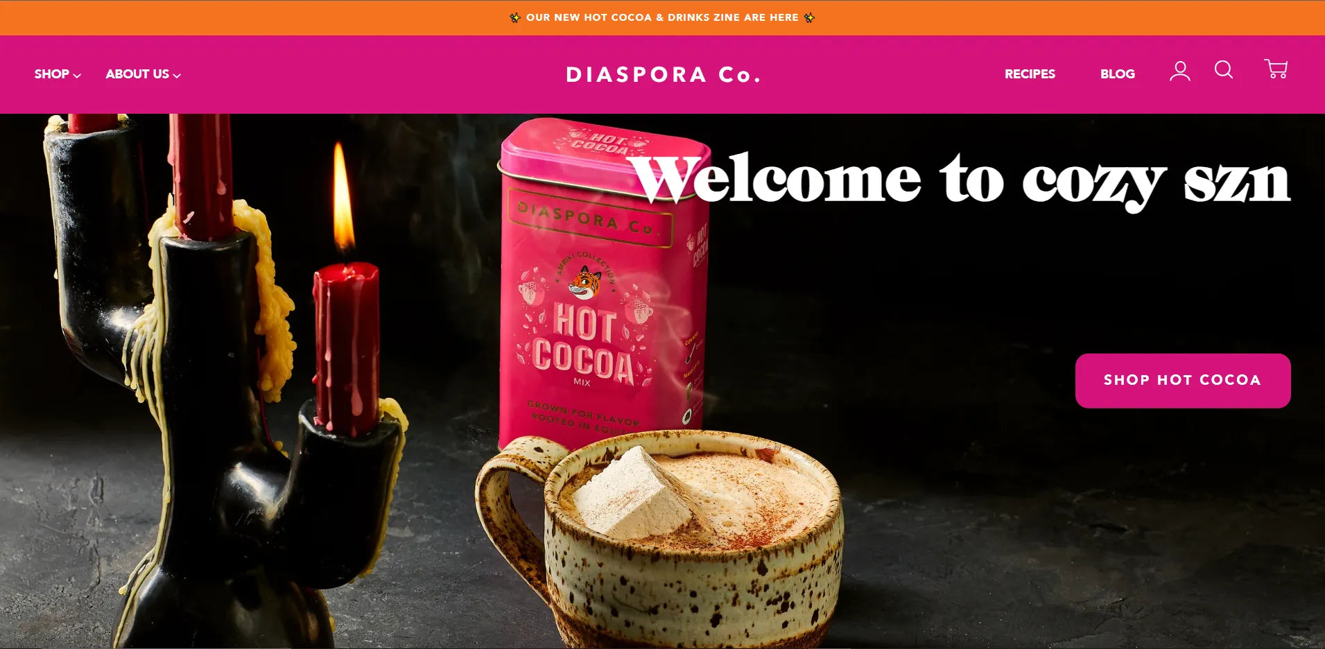 Screenshot of Diaspora Co.’s website.