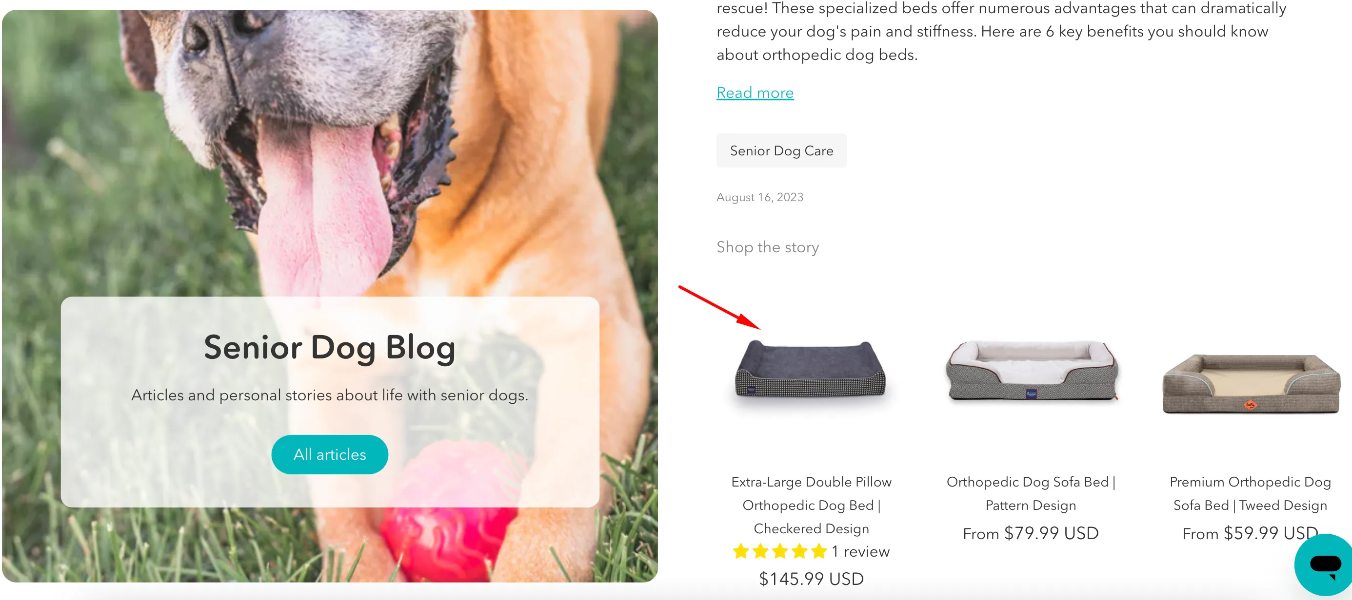 A screenshot of Dog Quality blog post section.