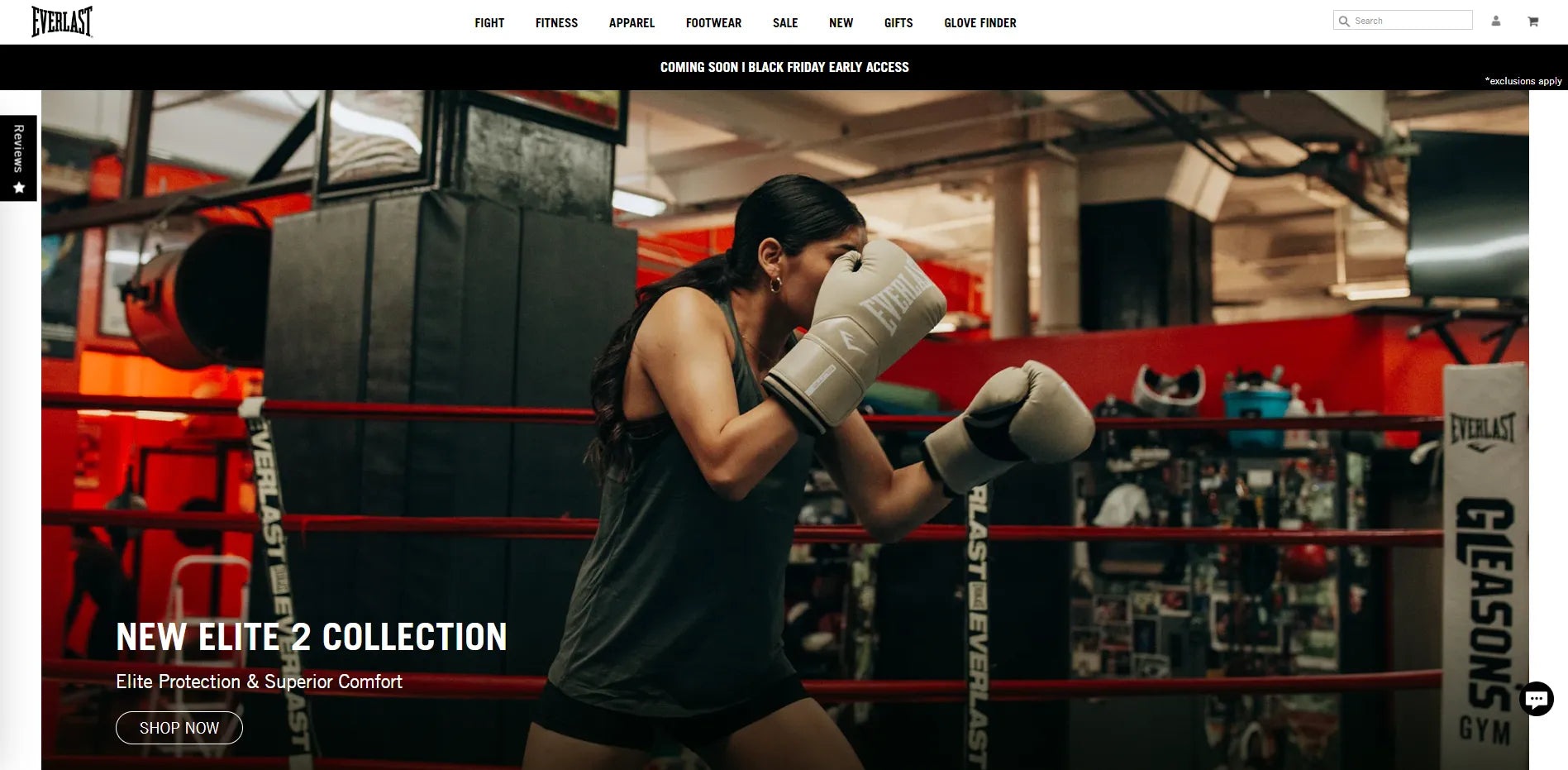 Screenshot of Everlast’s website.