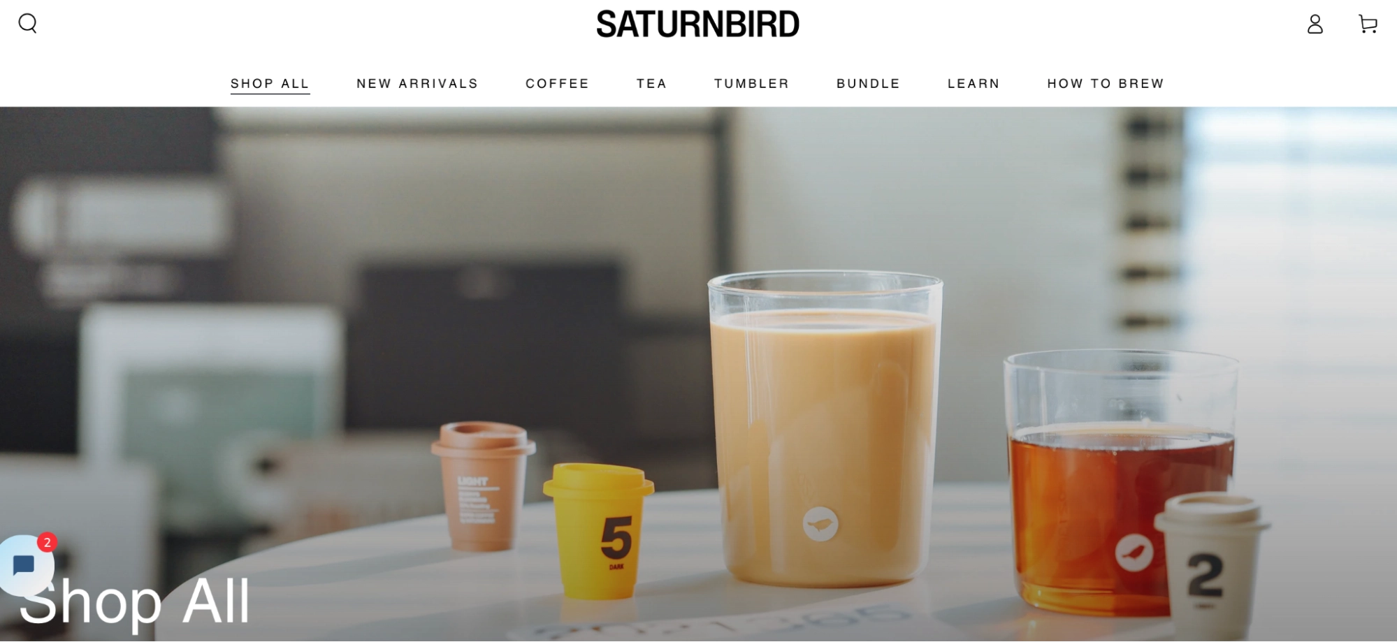 Screenshot of Saturnbird website
