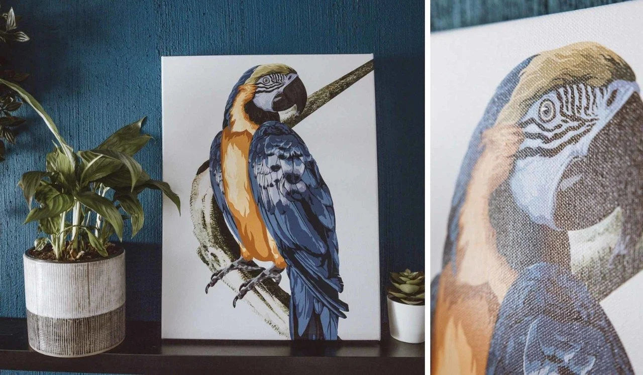 giclee-prints-detailed-parrot
