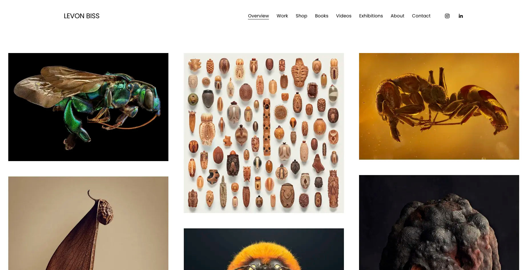 levonbliss-website-builder-for-photographers-example