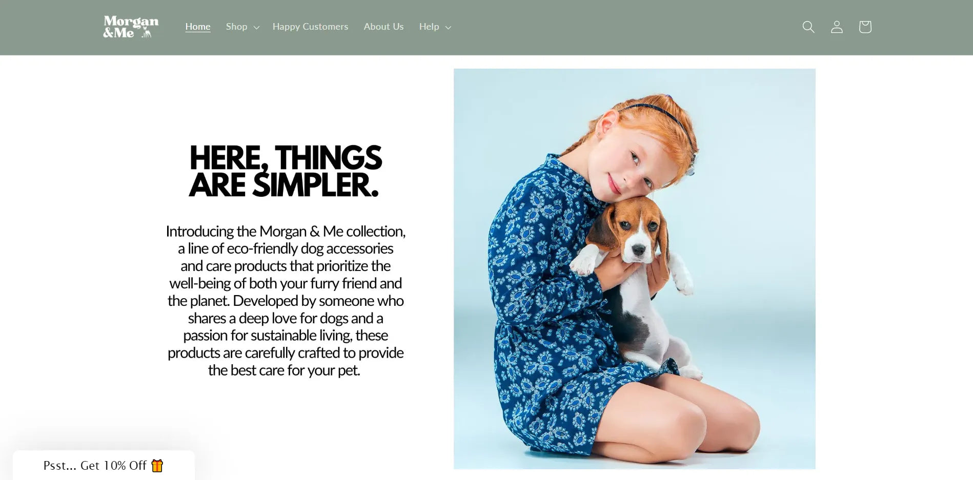 Captura de pantalla del sitio web de Morgan and Me.