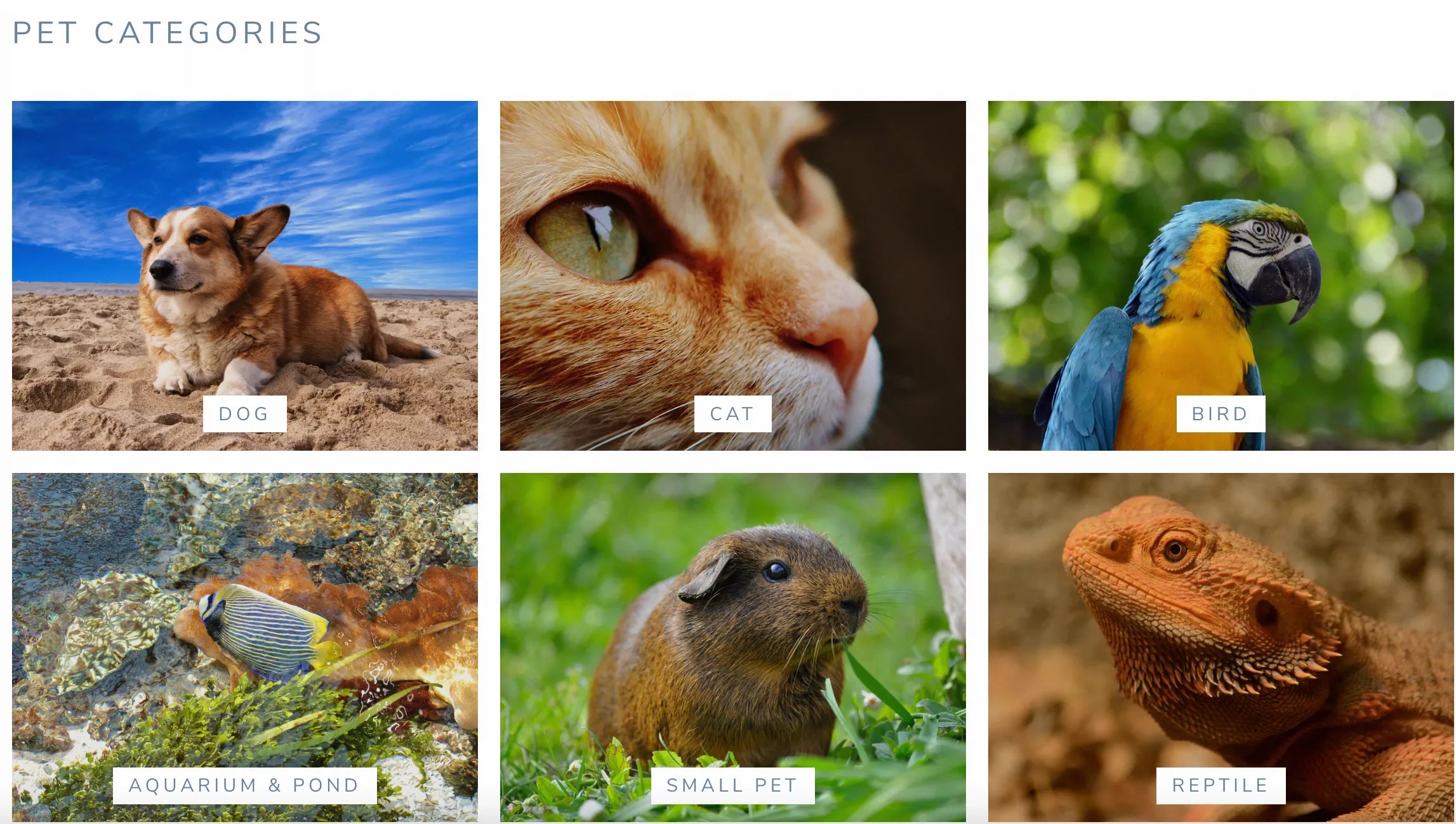 A screenshot of Pet Store homepage.