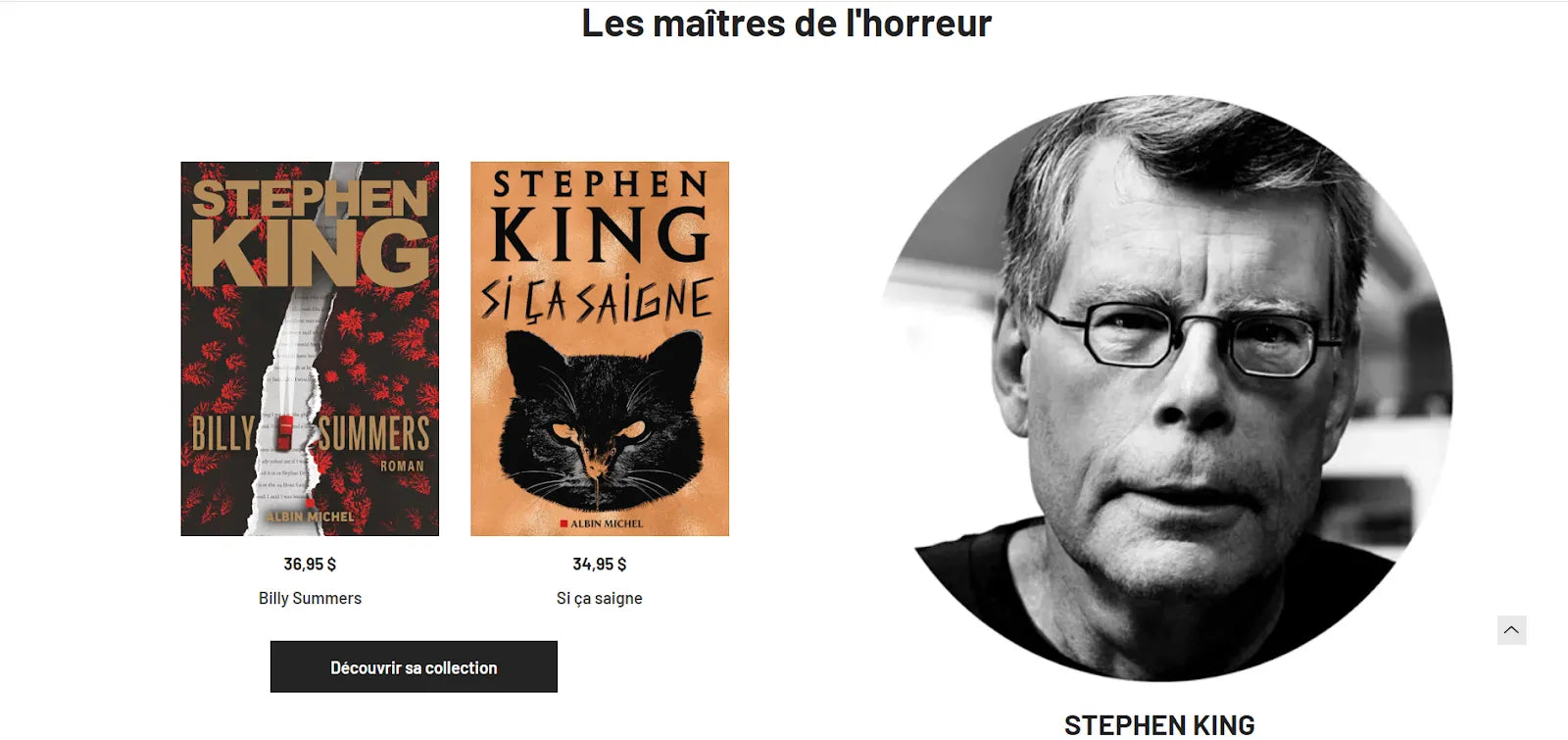 Example of Shopify eBook site
