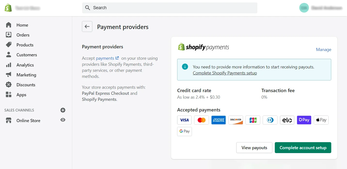 shopify payments setup