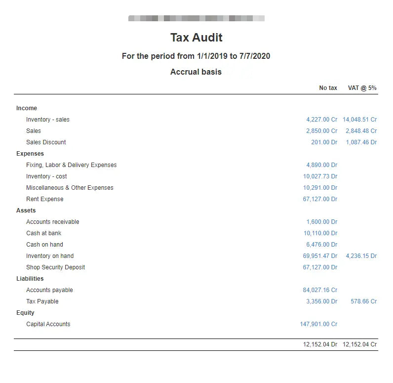 tax-audit-report