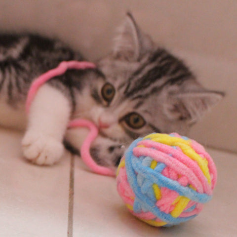 wool ball cat toy