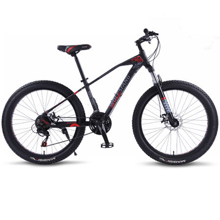 fat bike 21 speed