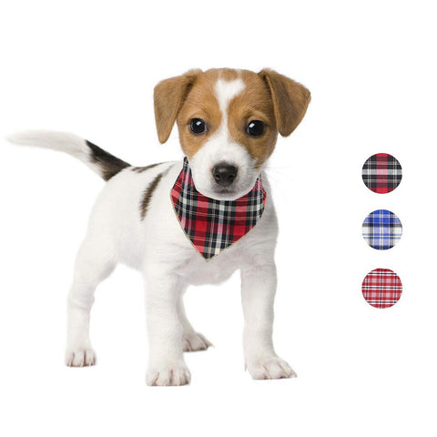 dog plaid scarf