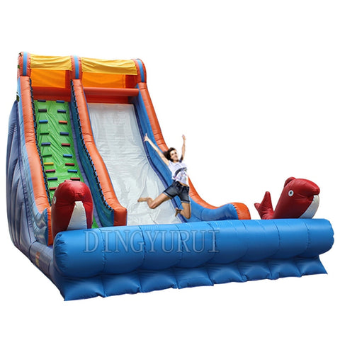 inflatable bouncer slide