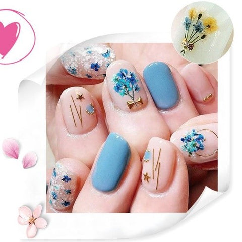 3D Clover Colorful Real Dried Flower Leaf Nail Decoration For Manicure
