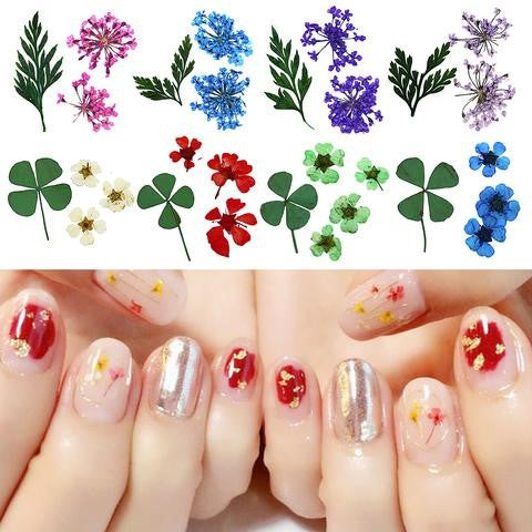 3D Clover Colorful Real Dried Flower Leaf Nail Decoration