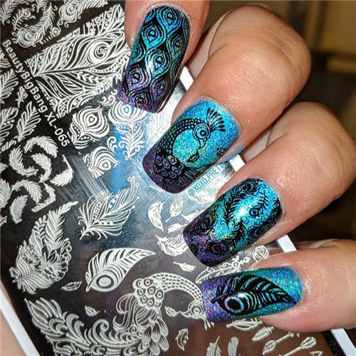 Feather Series Rectangle Peacock Design Nail Art Stamping Plate ...