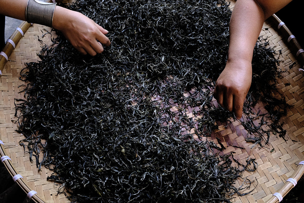 Yellow-flake tea leaves being picked out of loose puerh tea by hand
