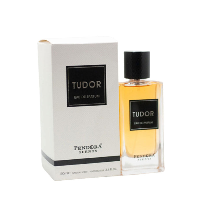 Pendora Scents Tudor 100ml EDP for Men – PerfumeAddiction