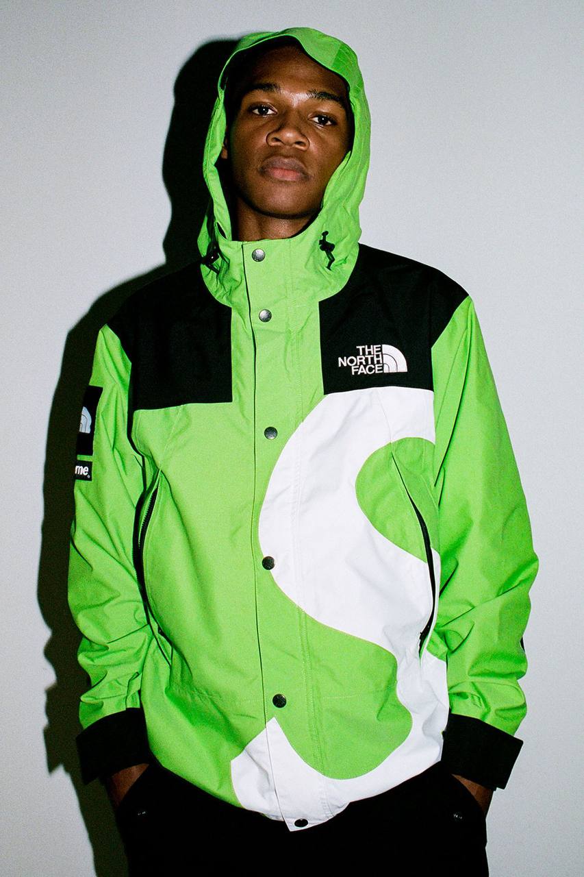 SUPREME & THE NORTH FACE S Logo Mountain Jacket – PENGUIN