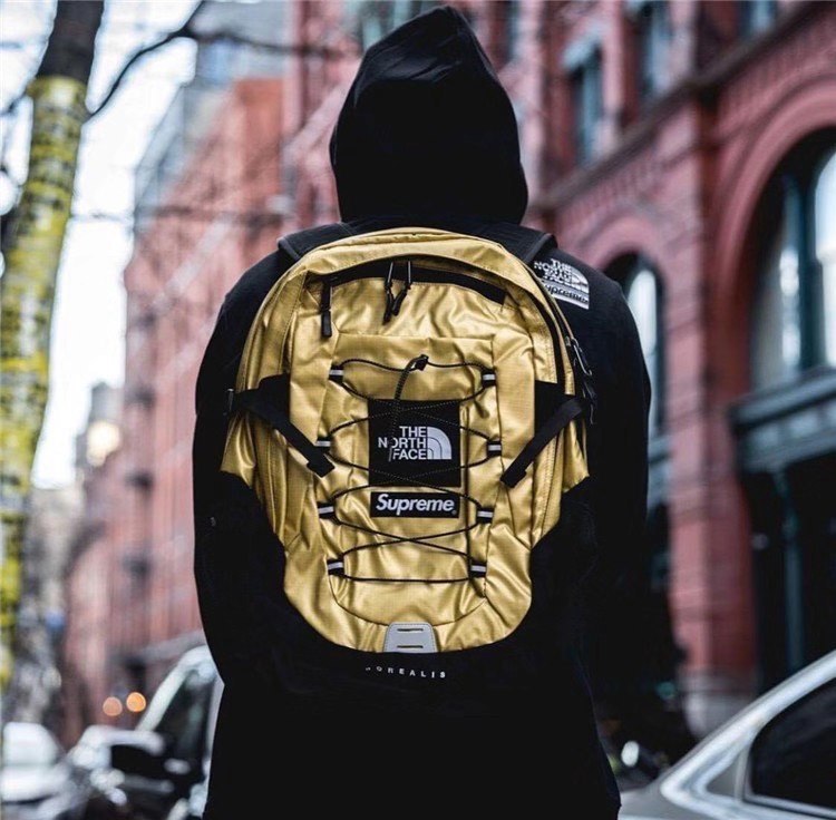 パステルオリーブ Supreme Metallic Borealis Backpack - ecotours-of