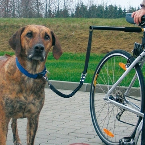Dog Leash for Bike Riding – Sugar Pet Shop