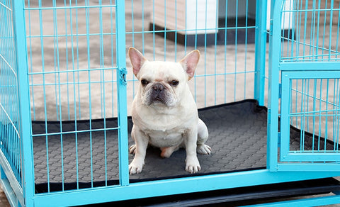 dog playpen mat