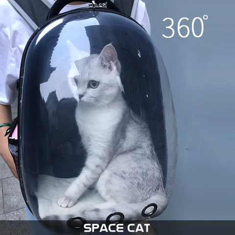 backpack for cats to wear