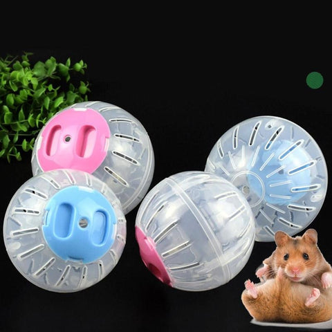 Chinchilla Exercise Ball - Sugar Pet Shop