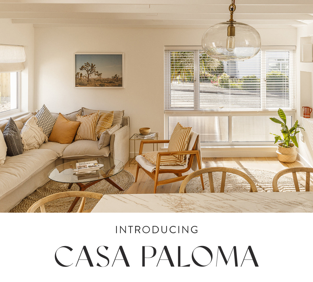Introducing Casa Paloma