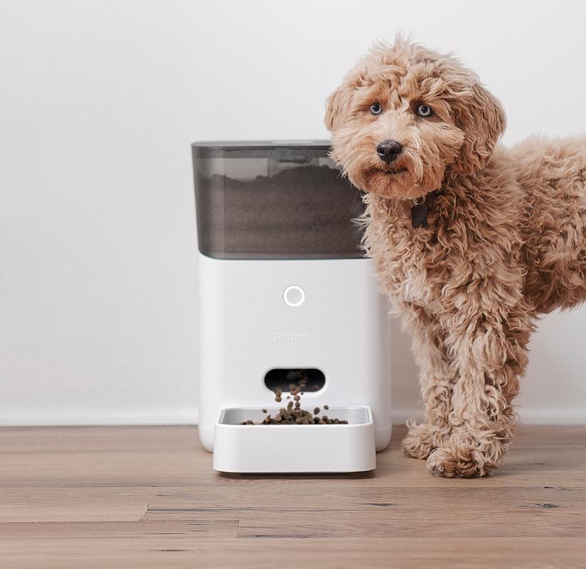 Petnet Smartfeeder Petnet Io