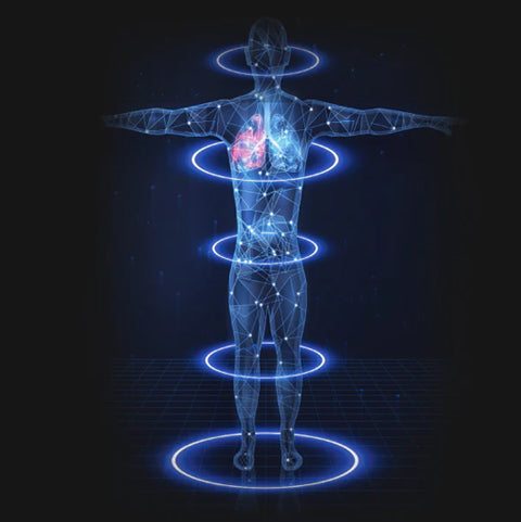 Titan TP-Epic 4Dattentive body scanning illustration