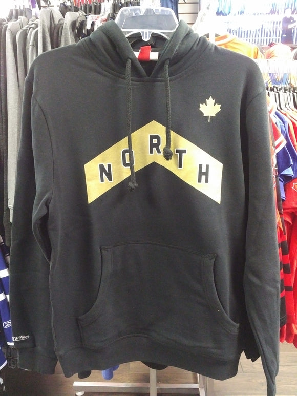 toronto raptors nike men's city edition club hoodie