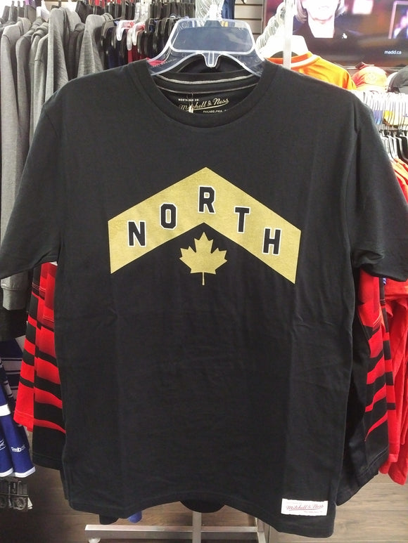 toronto raptors black and gold shirt