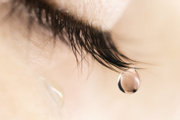 Closed eyelid closeup with a teardrop on eyelash extensions. Cartel Lash