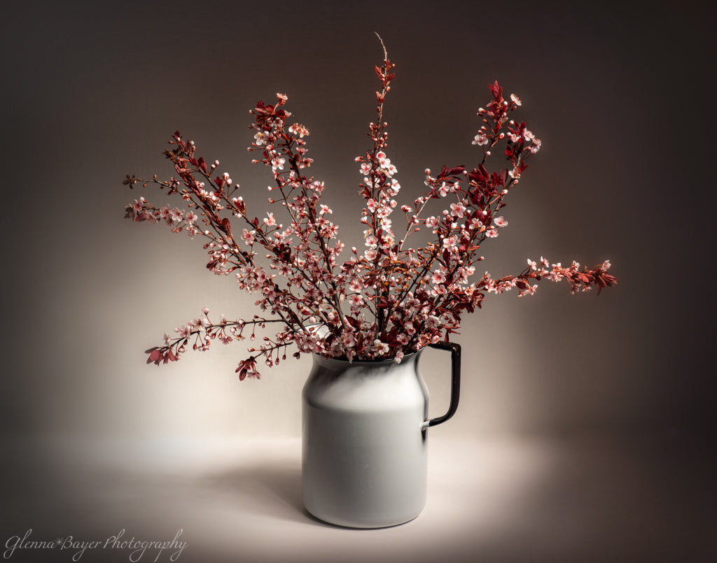 Winter Still Life Photo Print