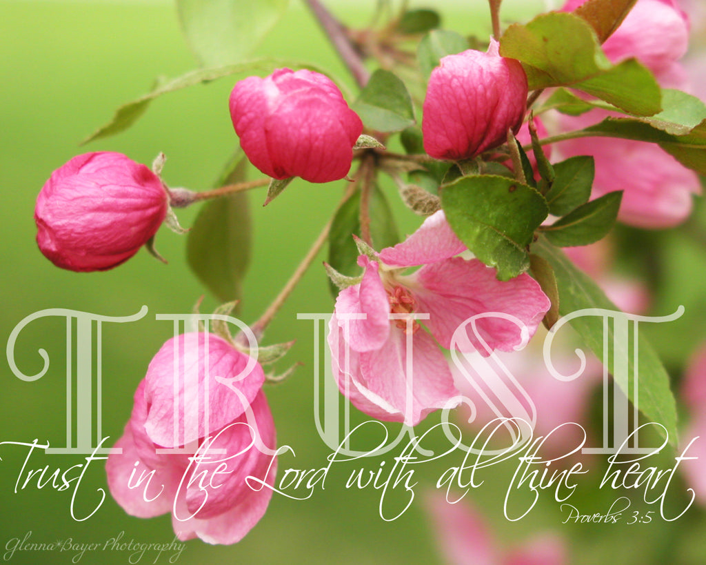 Inspiring Spring Prints | Glenna Bayer Photography Tagged "Bible Verse"