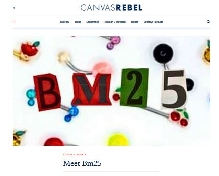 Screencapture from Canvas Rebel Magazine Article about Bm25.com
