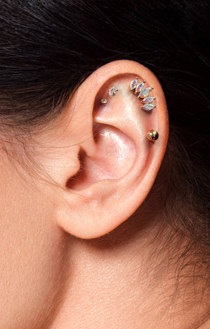 Earscape styling option for curated ear