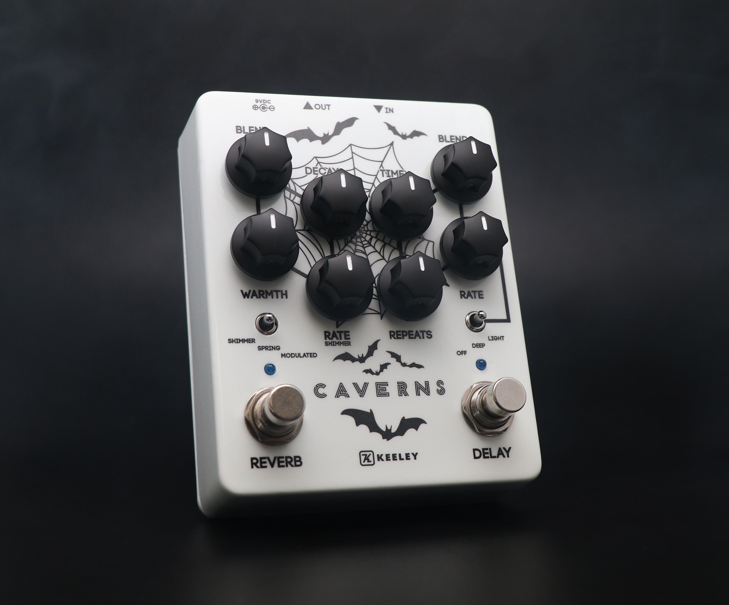 暖色系 Caverns Delay Reverb V2 並行輸入品 - 通販 - www.cbes.org.bo