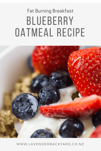 Fat Burning Breakfast: Blueberry Oatmeal Recipe from NZ Blueberry Farm