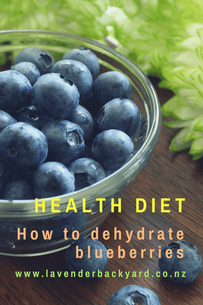 Health Diet: How to dehydrate blueberries. New Zealand Blueberry Farm teaches you about blueberry. Click to read more.