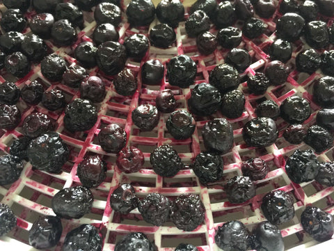 How to Dehydrate Fruit . NZ Blueberry Farm teaches you about blueberries. Click to read more!