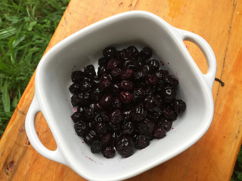 How to Dehydrate Blueberries