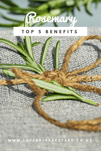 The Health Benefits of Rosemary