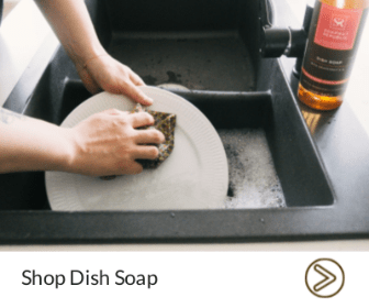Shop Soapnut Republic Dish Soap