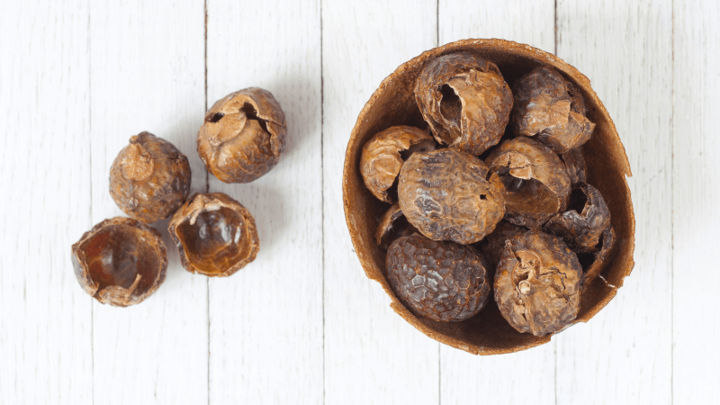 soapnut berries are organic biodegradable