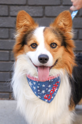 Dog bandana, Custom dog bandana, Memorial Day Dog Accessory, Bandana for Dog Memorial Day, Memorial Day accessories for Dog