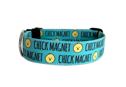 Duke & Fox Chick Magnet dog collar funny Easter dog collar